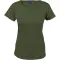 Image for Olive
